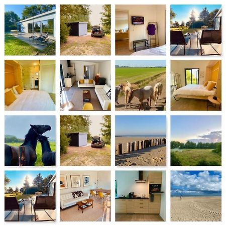 Natuurhuis Zeeuwse Rust Voor Wandelingen Aan Zee, Fietstochten In Natuur En Culinair Genieten Villa IJzendijke Exterior foto