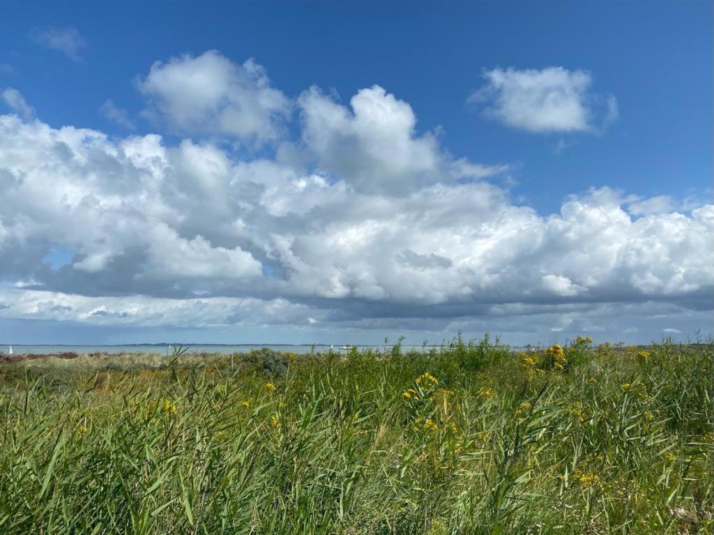 Natuurhuis Zeeuwse Rust Voor Wandelingen Aan Zee, Fietstochten In Natuur En Culinair Genieten Villa IJzendijke Exterior foto