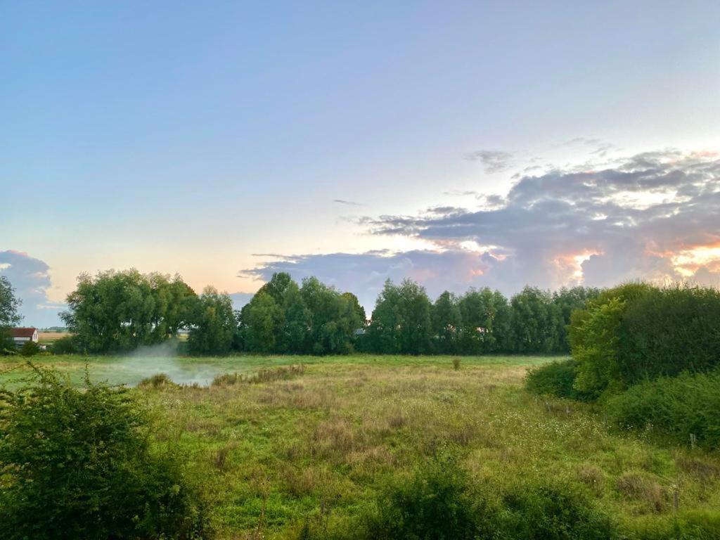 Natuurhuis Zeeuwse Rust Voor Wandelingen Aan Zee, Fietstochten In Natuur En Culinair Genieten Villa IJzendijke Exterior foto