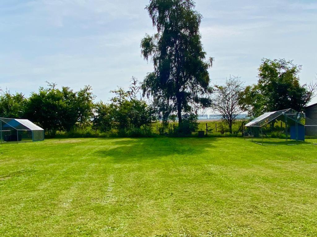 Natuurhuis Zeeuwse Rust Voor Wandelingen Aan Zee, Fietstochten In Natuur En Culinair Genieten Villa IJzendijke Exterior foto